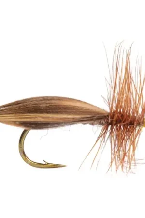 Promotion Europa 12 size 10