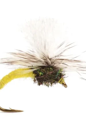 Acheter Direct Klinkhammer Yellow size 14