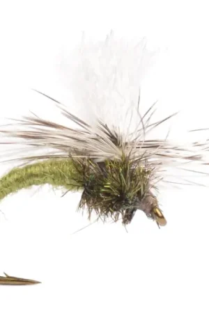 Klinkhammer Olive size 12 Produit De Marque