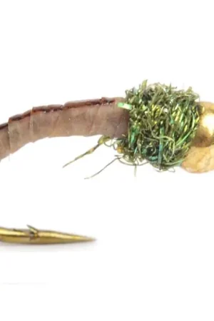 Dernière Chance JH Puppan Olive # 10