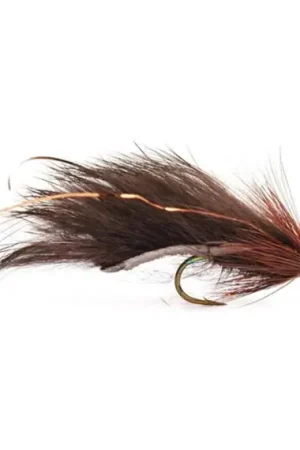 Zonker Brun size 8 Meilleur Choix