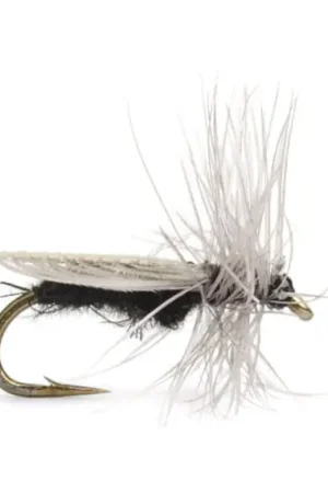 Diptera size 18 Offre Du Jour