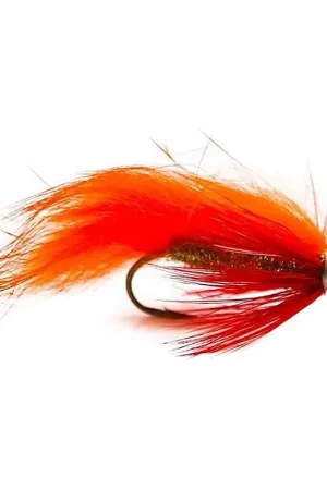 Populaire FK Zonker Orange size 6