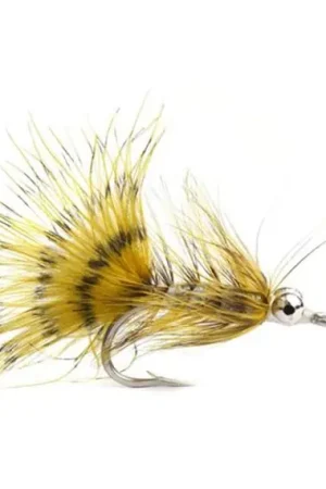 Magnus Olive # 4 Petit Prix