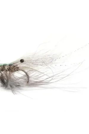Ghost shrimp #4 Solde
