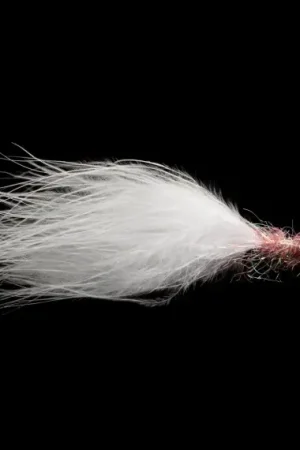 Acheter Direct Booby Pearl size 6
