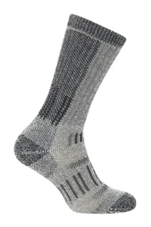 Commande En Gros Icebreaker Mens Hike+ Mount Mid Calf, JET HTHR/Black - M