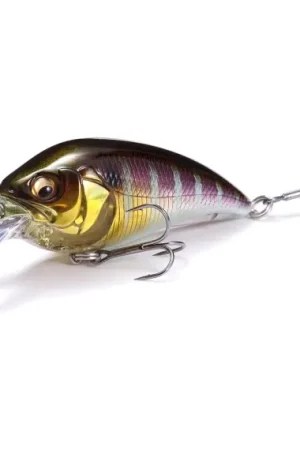 Megabass Super-Z Z1 - Ito Gold Certifié