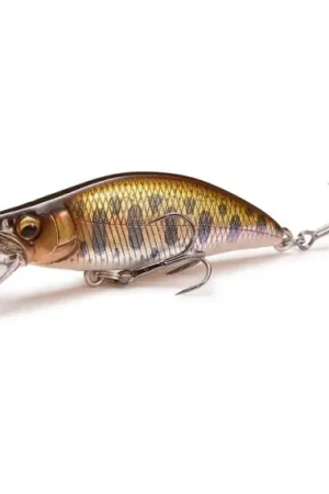 Megabass GH46 Humpback(FS) - Takumi Yamame Retour Gratuit