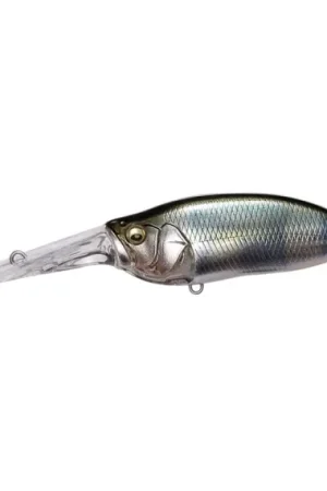 Dernier Modèle Megabass Ixi Shad TX - Wagin Hasu