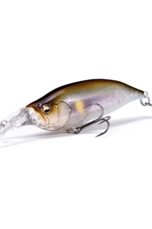Megabass Ixi Shad TX - Imakatsu Bream Affaire À Saisir