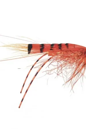 Frödin Micro Series - G.P Special 1.5cm Nouveauté