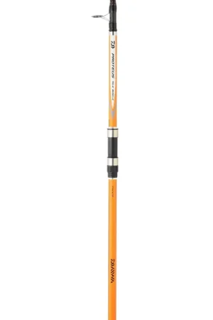 Affaire À Saisir CANNE TÉLESCOPIQUE SURF DAIWA PROTEUS