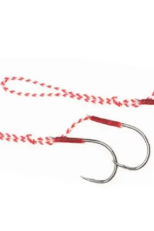 Promotion Saisonnière ASSIST HOOK DE RECHANGE RAGOT RAGTENYA