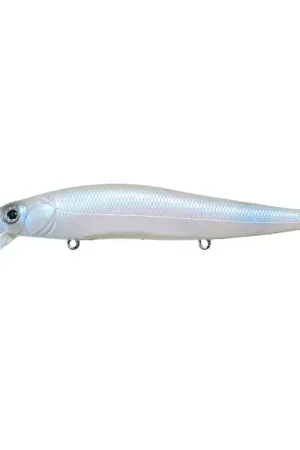 Affaire À Saisir LEURRE MEGABASS VISION ONETEN 110 FW