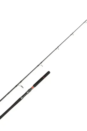 Super Prix Canne Offshore Spinning Conflict PÊCHE au Thon 30/180G PENN