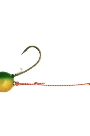 Tête Plombée DAIWA Tenya Jig Head 21G Must-Have