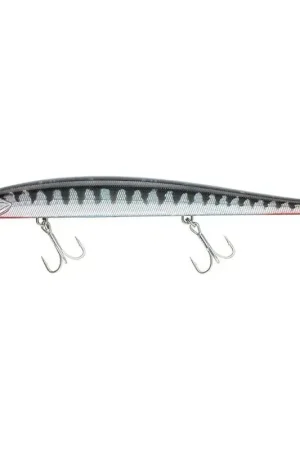 Top Vente FLASHKAST 170S 189