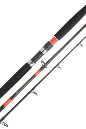 Affaire À Saisir Canne MEGAFORCE TROLLING | Daiwa