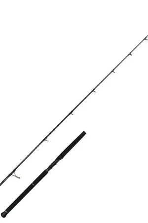 CANNE SPINNING DEFIANCE SG2 OFFSHORECASTING | SAVAGEAR Certifié