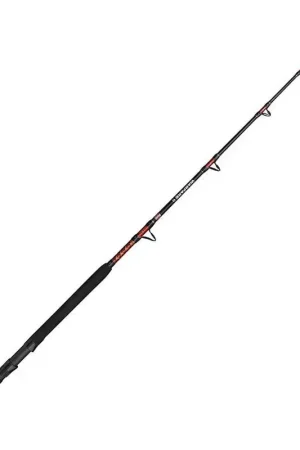 Certifié CANNE TRAINE WARFARE II TROLLING | PENN