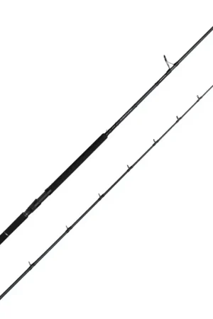 CANNE SPINNING DEFIANCE SG2 SHORE JIGING | SAVAGEAR Top Vente