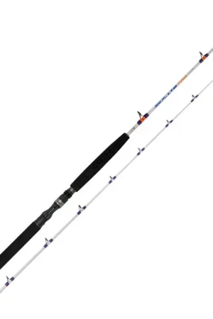 CANNE TRAINE SEAL LT-2 PRO SPINNING | COLMIC Nouvel Arrivage