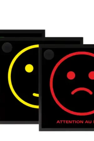 Afficheur / Enregistreur de type Smiley autonome Bluetooth- Grand format Nouveauté