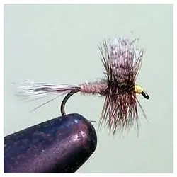 Dry Flies - Gray Fox - Hook Size : 10 Must-Have