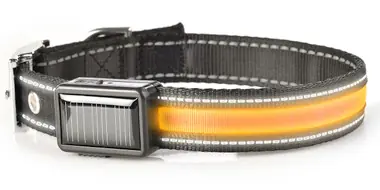 Petit Prix Brite-Strike Lighted Dog Collar - Large