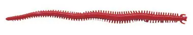 Berkley Gulp!® Saltwater Sandworm - 2" Bloody GSSW2-BY Commander Maintenant