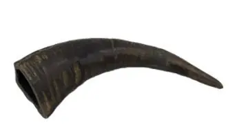 Tailfin Pet Co. - Medium Water Buffalo Horn Prix Promo