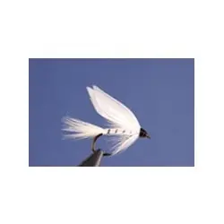 Certifié Wet Flies - White Miller - Hook Size : 12
