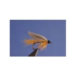 Paiement Sécurisé Wet Flies - Ginger Quill - Hook Size : 16