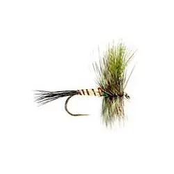 Dry Flies - Eastern Green Drake - Hook Size : 8 Haute Qualité