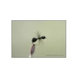 Dry Flies - Black Ant Traditional - Hook Size : 12 Dernière Chance