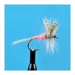 Jusqu'à Épuisement Des Stocks Dry Flies - Light Hendrickson - Hook Size : 12