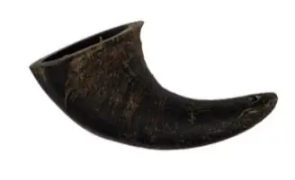Tailfin Pet Co. - Small Water Buffalo Horn Authentique