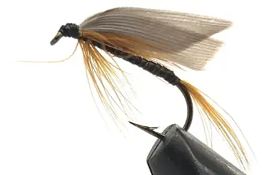 Nouvel Arrivage 10 Flies - Wet Ginger Quill on a Bronze 8 Mustad Hook