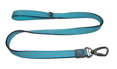 Bon Plan Doco Vario 4' Leash - Large Turquoise