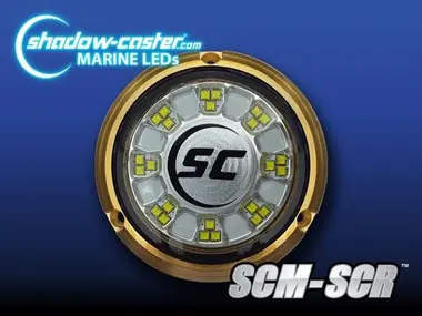 Usine Directe Shadow Caster Scr24 Underwater Led Light Great White