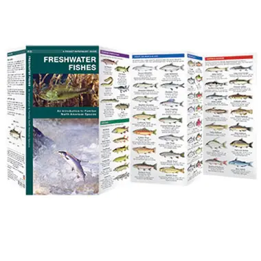 Freshwater Fish Guide Marque