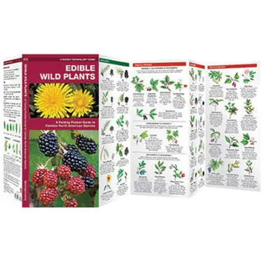 Commander Vite Pocket Guide To Edible Wild Plants