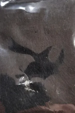 Wapsi Awesome Possum Dubbing - Black Prix Cassé