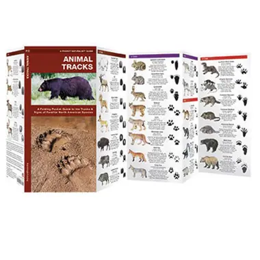 Animal Tracks Pocket Guide Offre Spéciale
