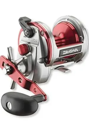 Moulinet DAIWA Saline 40H Acheter Direct