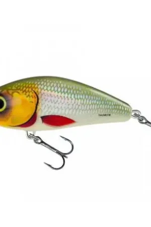 Offre Exclusive Leurre SALMO Fatso 10cm coulant silver halo