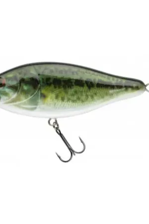 Leurre BIWAA Raffal 4 10cm Real bass Certifié