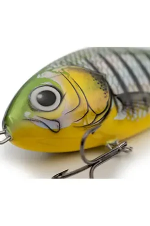 Retour Gratuit Leurre SALMO Fatso 14cm Phantom perch COULANT
