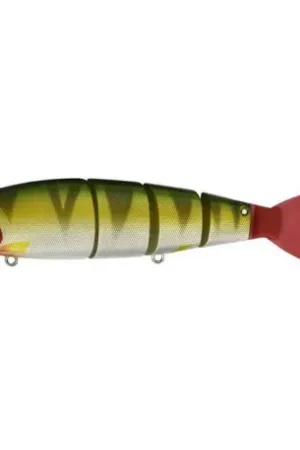 Expédié Aujourd'hui Leurre MADNESS Balam 245 Perch
